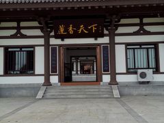-呼兰河口湿地公园