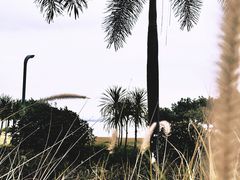 -集美学村