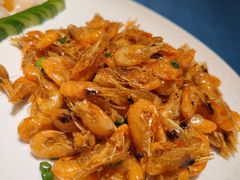 油爆虾-老吉堂上海本帮菜(工体店)
