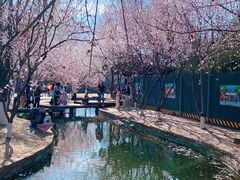 -春风习习