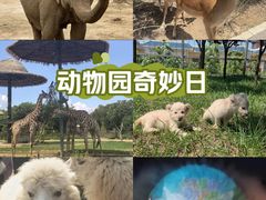-济南野生动物世界