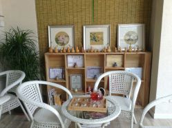 -一花一叶瑜伽生活馆