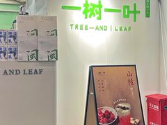 -一树一叶·福建茶档(石鼓路店)