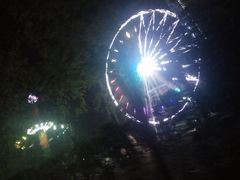 -花博汇(知音花月夜)