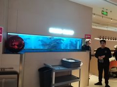 -老板恋上鱼(恒隆广场店)