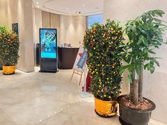 -上海嘉定喜来登酒店