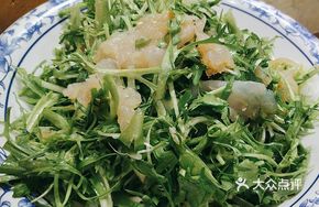 Bitter Lettuce with Jellyfish Head