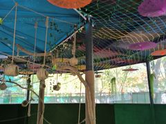 -朝阳公园游乐园