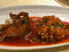 松鼠大桂鱼-绿波廊(豫园店)