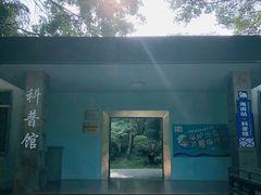 -广东惠东海龟国家级自然保护区