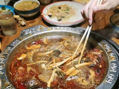 -成老灶火锅鸡(平山店)