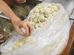-叶氏麻糍(鼓浪屿店)