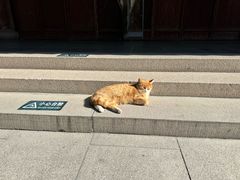 -龙华素斋(龙华路店)