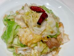 炝炒圆白菜-丹江渔村(望京店)