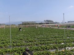 -光明小镇欢乐田园