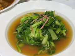 -圆苑(静安寺店)