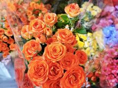 -循礼门鲜花花市(武汉循礼门店)