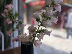 -红小姐咖啡馆(西津渡店)