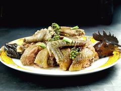 -大笮风(体育馆总店)