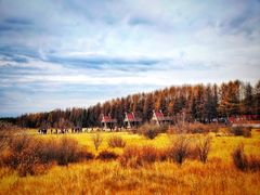 -塞罕坝国家级自然保护区