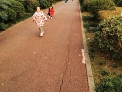 -白鹭湾湿地公园