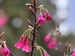 -四川北路(地铁站)