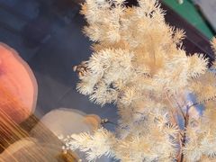 -浅深Cheersum(曹杨店)