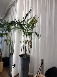 -不懂瑜伽·普拉提空间