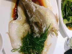 清蒸鲈鱼-至潮餐厅精致粤菜·活鲈鱼·走地鸡(珠江新城店)