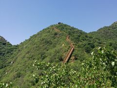 -大岭沟猕猴桃谷风景区