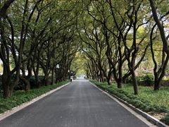 -西郊宾馆·1921餐厅