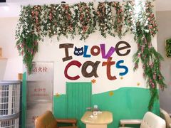 -藏猫猫咖啡主题馆(中央大道店)