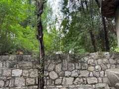 -四门塔风景区