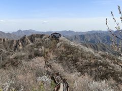 -大岭沟猕猴桃谷风景区