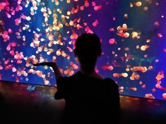 -成都浩海立方海洋公园