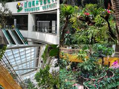 -正佳雨林生态植物园