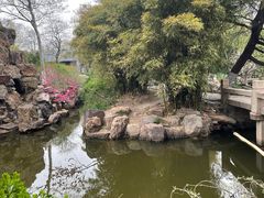 -水绘园