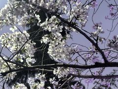 -虹口龙之梦购物中心·停车场