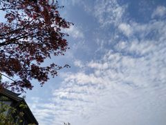 -九里河湿地公园