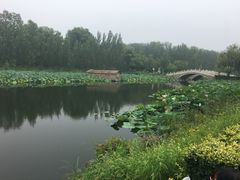 -白洋淀景区