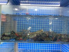 -星记小馆·小蓝龙·老南京砂锅菜(上海路店)