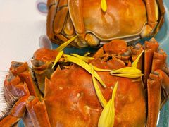 阳澄湖大闸蟹-阳澄湖费尔蒙酒店颐丰阁中餐厅(马鞍山西路店)