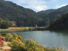 -广州市石门国家森林公园