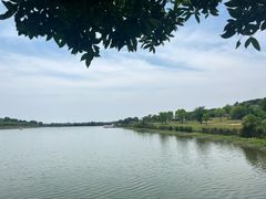 -梁子湖东篱老屋生态庄园
