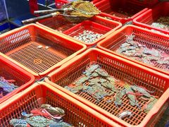 -巽寮印象美食部落餐厅·海鲜·地方特色菜(惠州体验店)