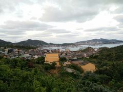 -枸杞岛