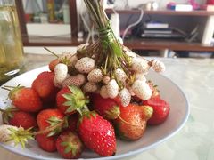 -北川羌城旅游区