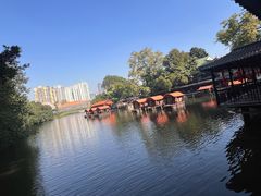 -侨美·唐荔园·40年地道粤菜