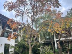 -广富林宰相府酒店·水云间