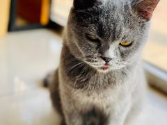 -平行世界·猫咖(首经贸店)